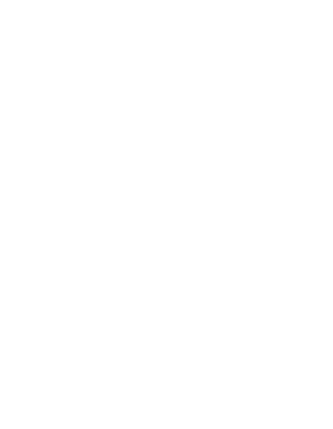 Media Factor